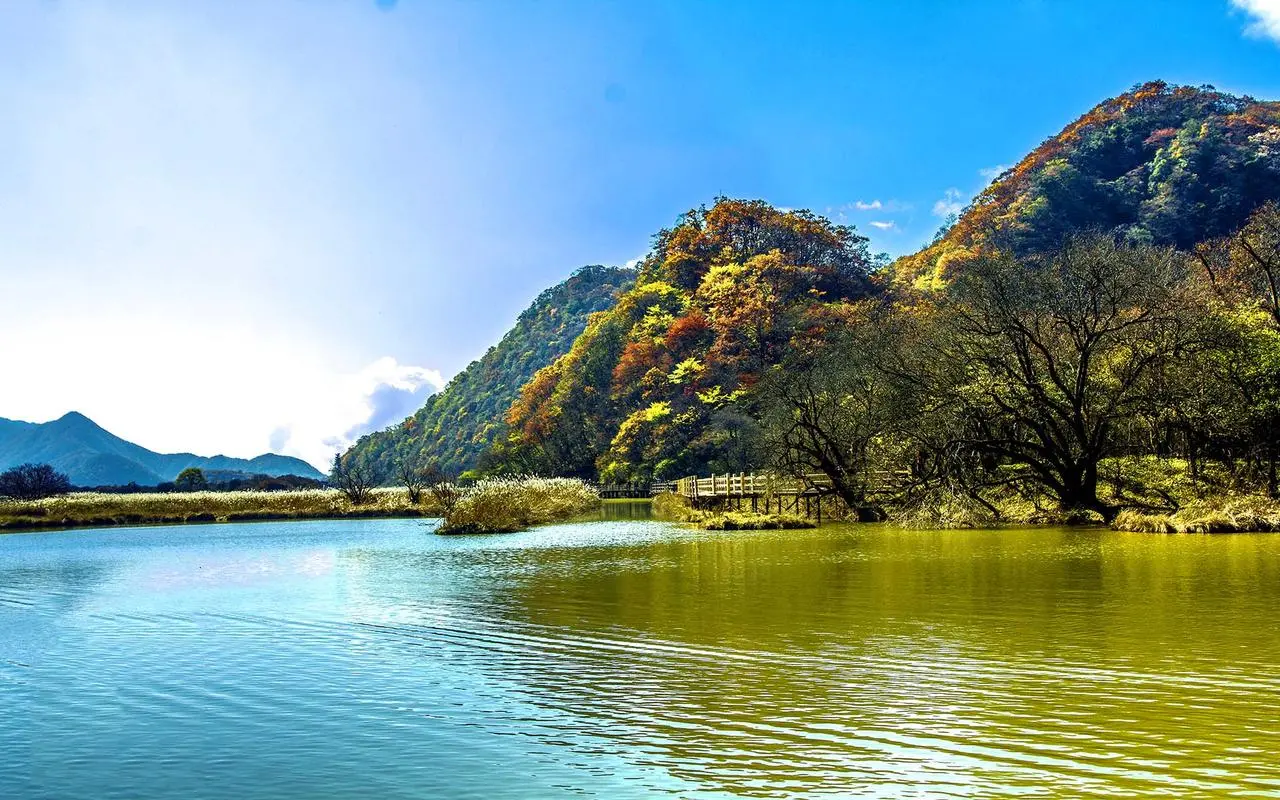 创新自动化先进